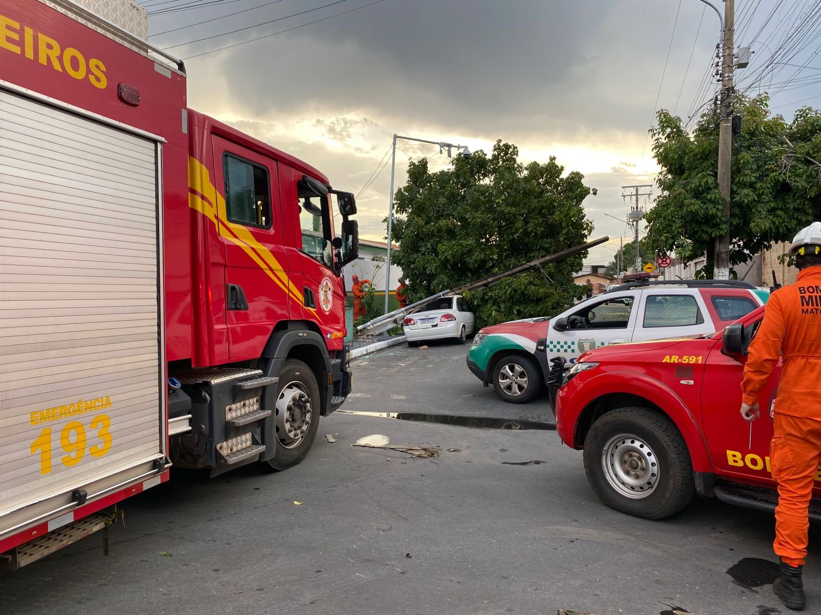 VÍDEO: árvore cai sobre carros durante tempestade e trava estrada em MT