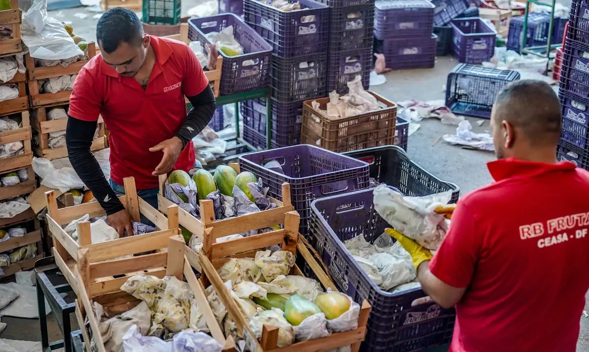 Governo anuncia crédito de R$ 97,3 bi para agricultores familiares