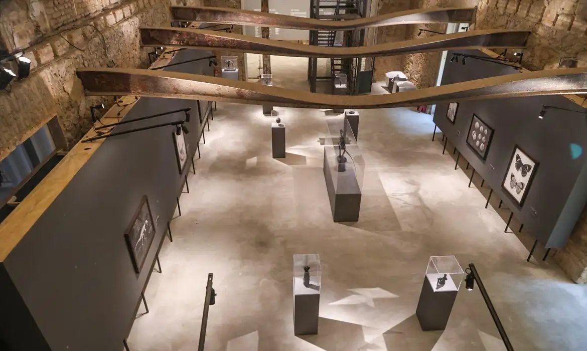 Museu Nacional lança exposições inéditas em comemoração aos 208 anos