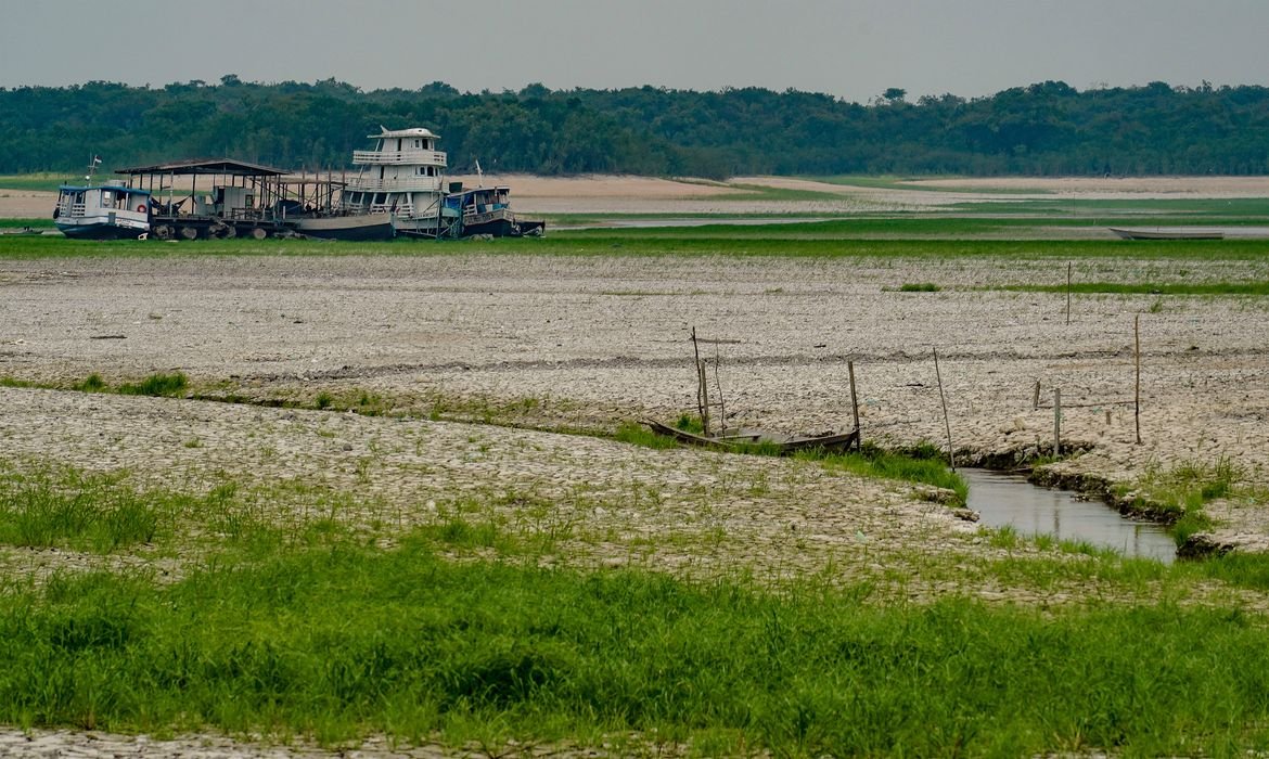Amazônia apresenta sinais de adaptação às mudanças climáticas