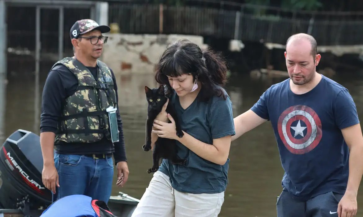 Senado aprova política de proteção a animais resgatados em desastres