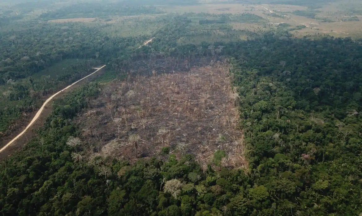 Amazônia registra queda de 35% nos alertas de desmatamento em junho