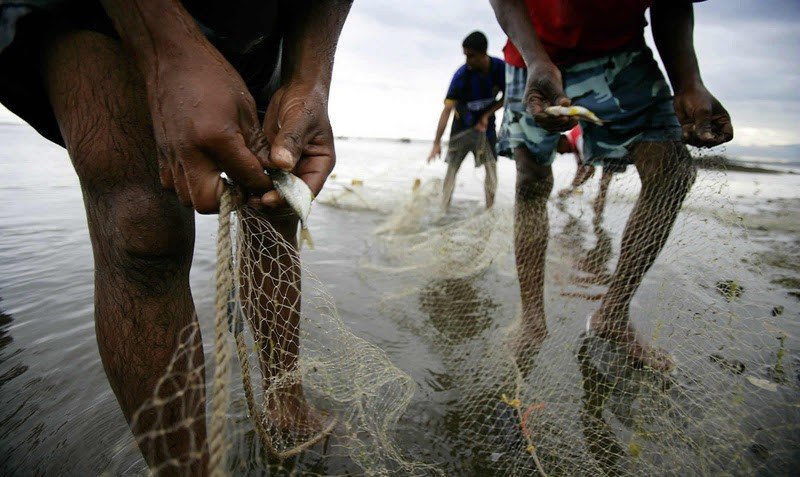 Instituições ambientais recorrem ao STF para anular lei que proíbe pesca comercial por 5 anos em MT