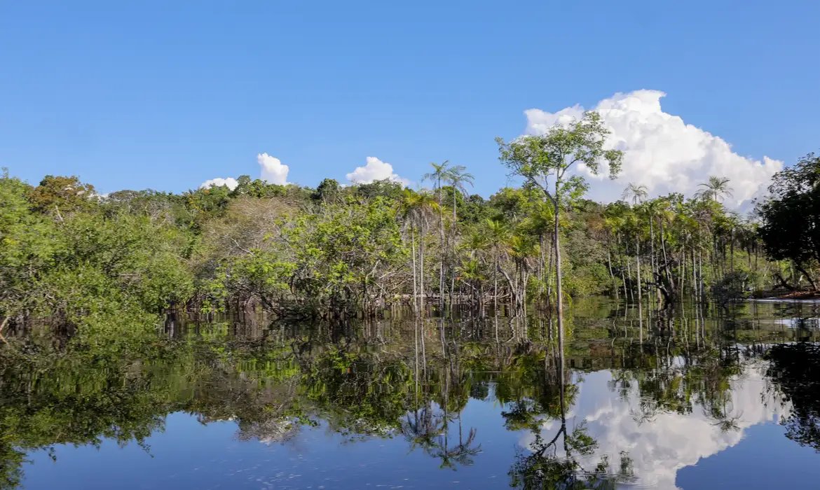 Governo levantou R$ 179 bi desde 2023 para transição ecológica