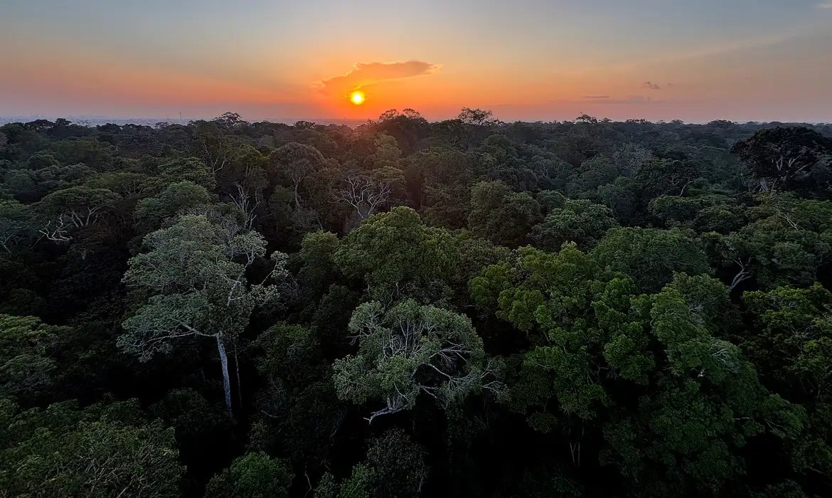 Viva Maria celebra o Dia Mundial do Meio Ambiente