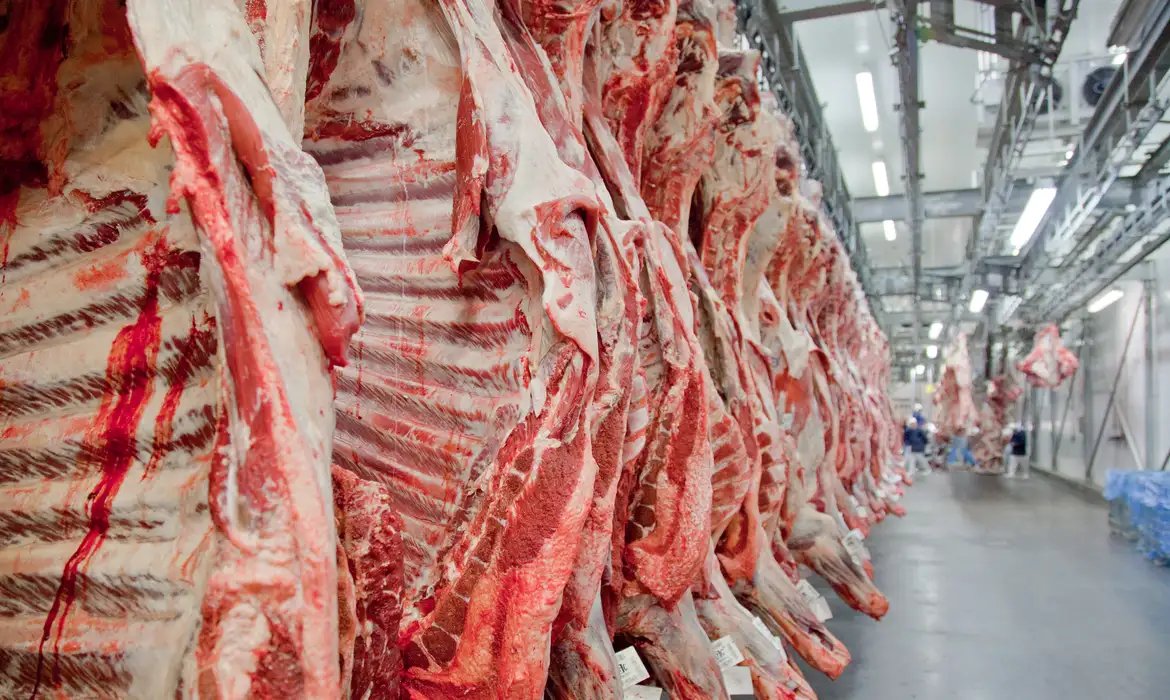 Governo promete reverter veto da UE a carnes e animais brasileiros