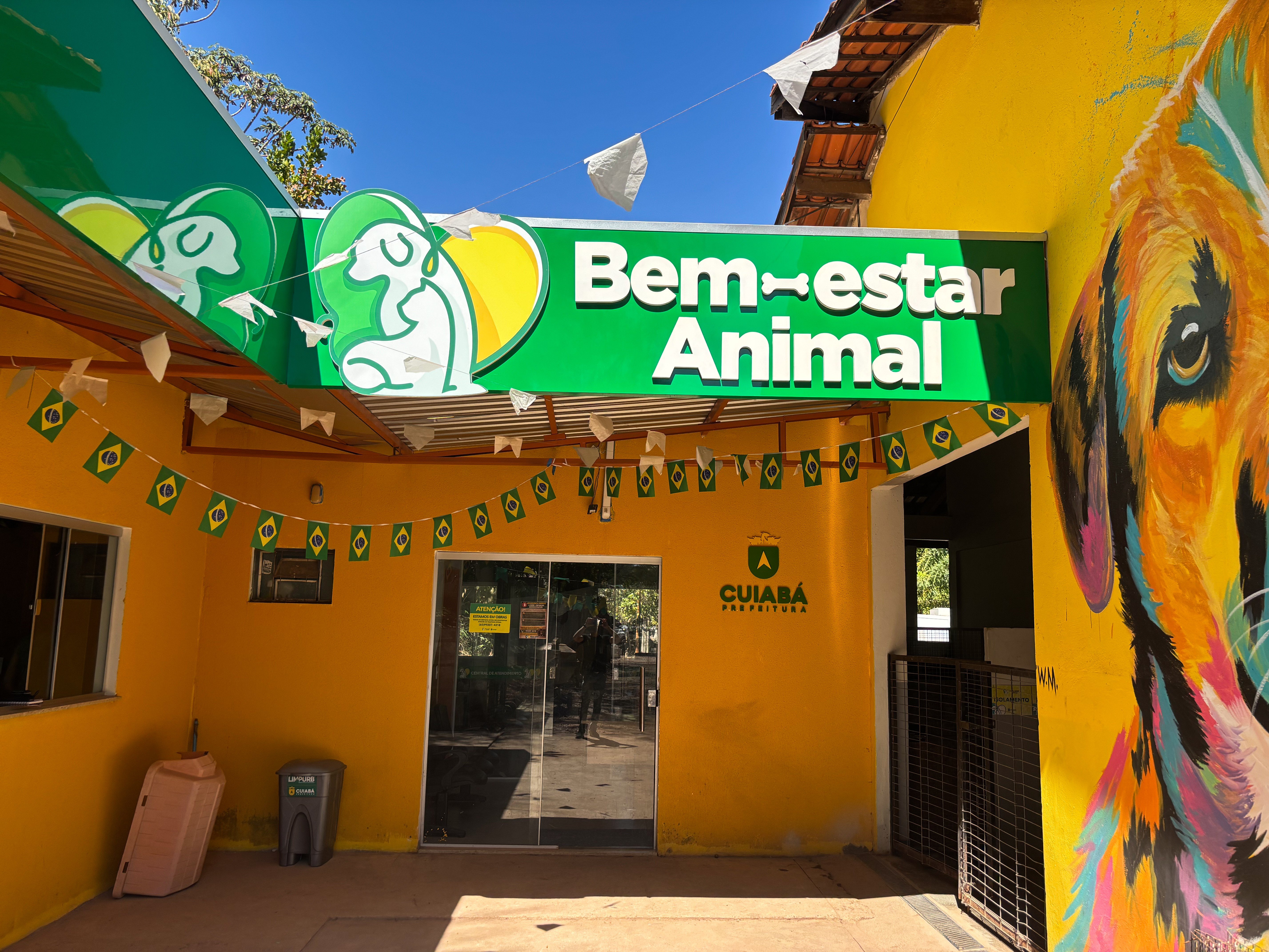 MP pede bloqueio de R$ 15 milhões da prefeitura após cães serem encontrados mortos em canil de Cuiabá