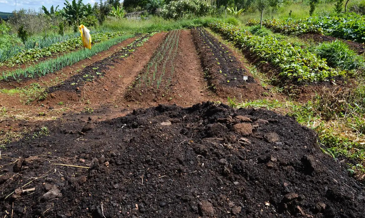 CMN amplia socorro a produtores afetados pelo clima