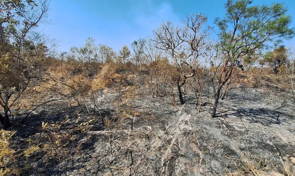 Mudanças climáticas já afetam 85% dos brasileiros, diz pesquisa