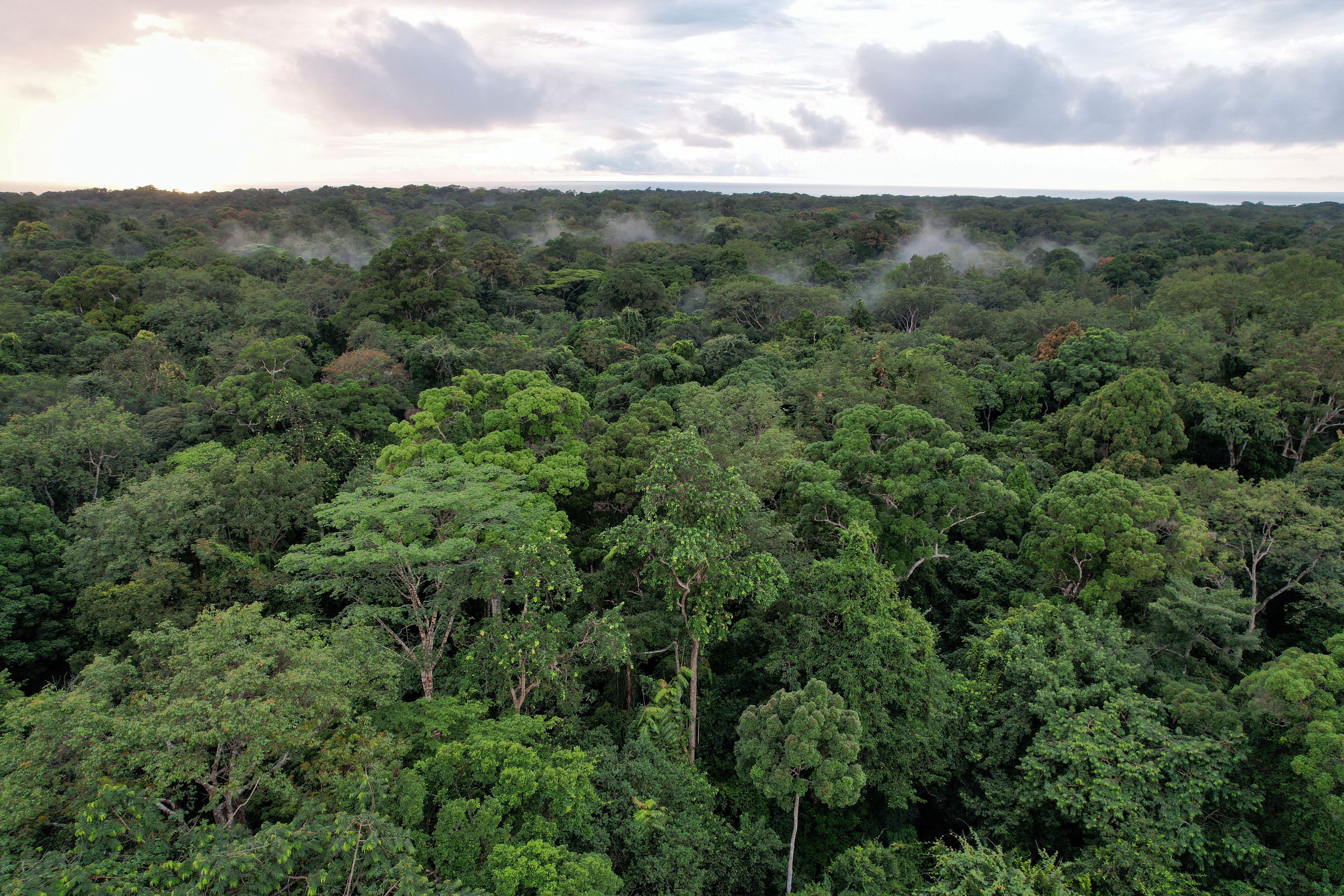 STF suspende demarcação de terra indígena em MT por falta de indenização a proprietários