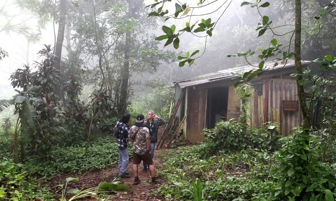 Quilombolas preservam 92% da vegetação nativa na Amazônia