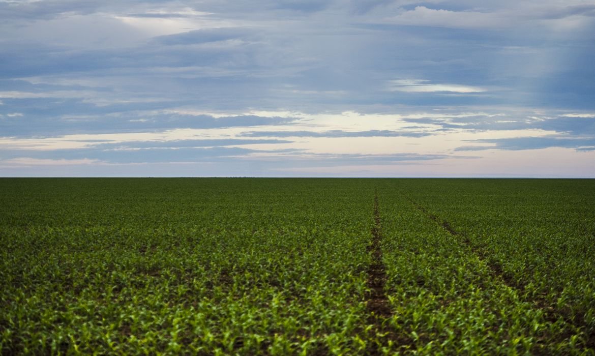 Fazenda estuda Fundo Garantidor para dívidas rurais