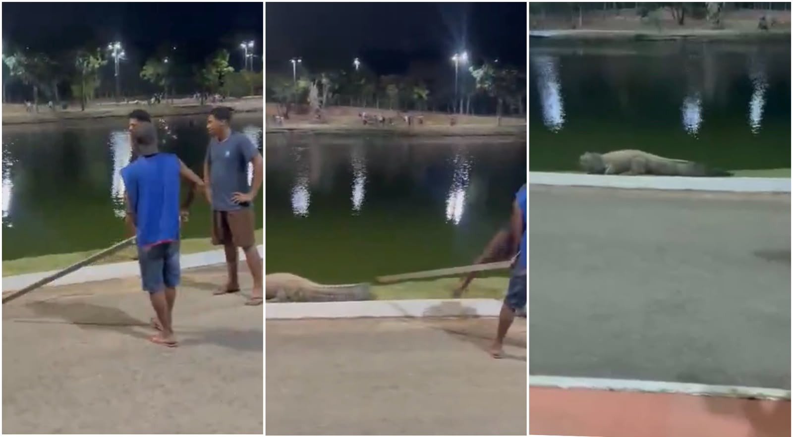 VÍDEO: grupo agride jacaré com pedaço de madeira para expulsá-lo de área em parque de MT