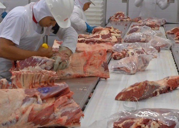 Doze municípios de MT estão entre as 100 que mais exportaram no Brasil em 2025