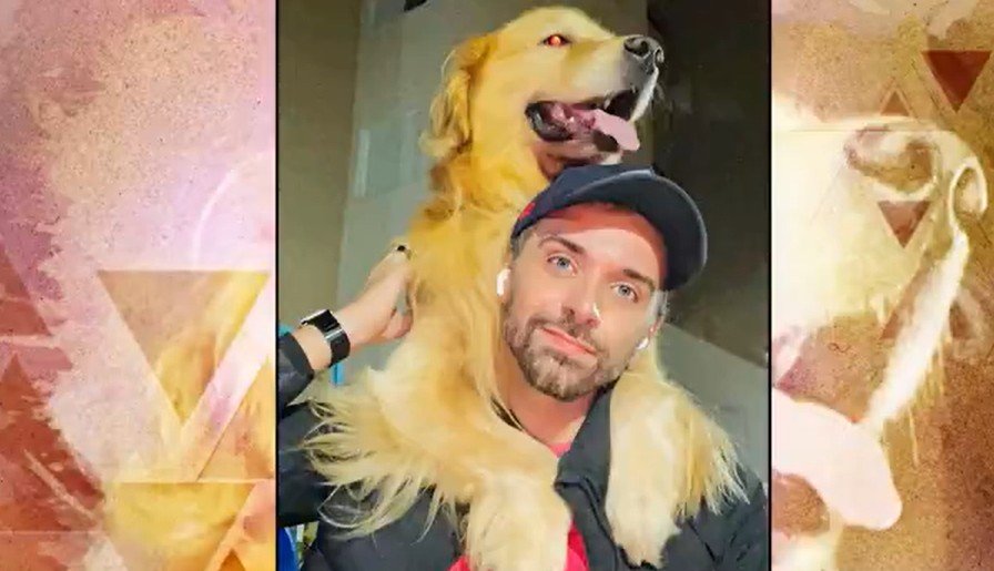 Justiça rejeita pedido da Gol e mantém ação sobre morte de cão Joca em MT