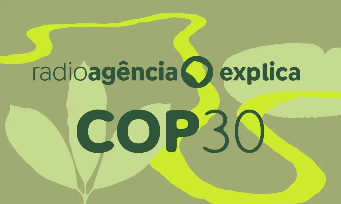 País eleva compromisso climático e lança fundo para proteger florestas