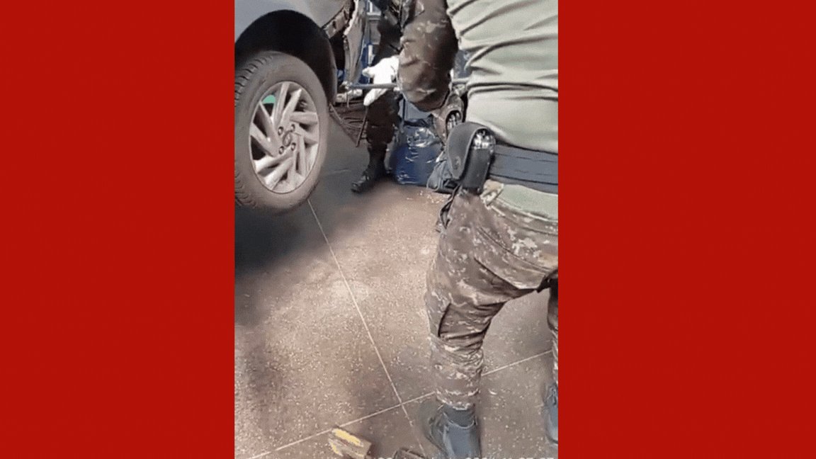 VÍDEO: jiboia é resgatada após ficar presa em para-choque de carro em Cuiabá