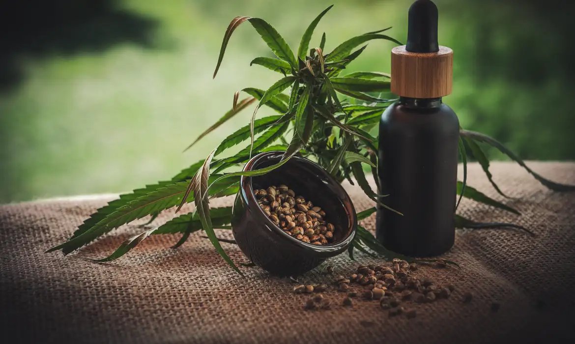 Projeto apoia mães e crianças atípicas tratadas à base de cannabis