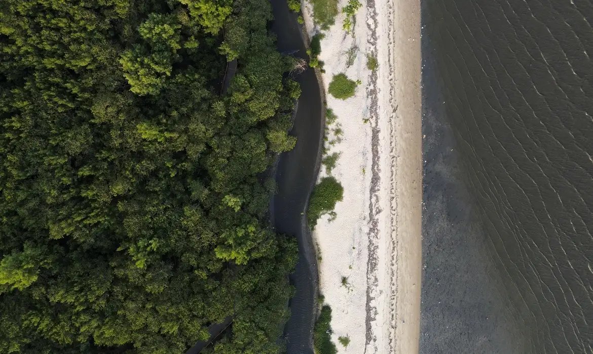 “Não existe Planeta B”, alerta astrofísico às vésperas da COP30