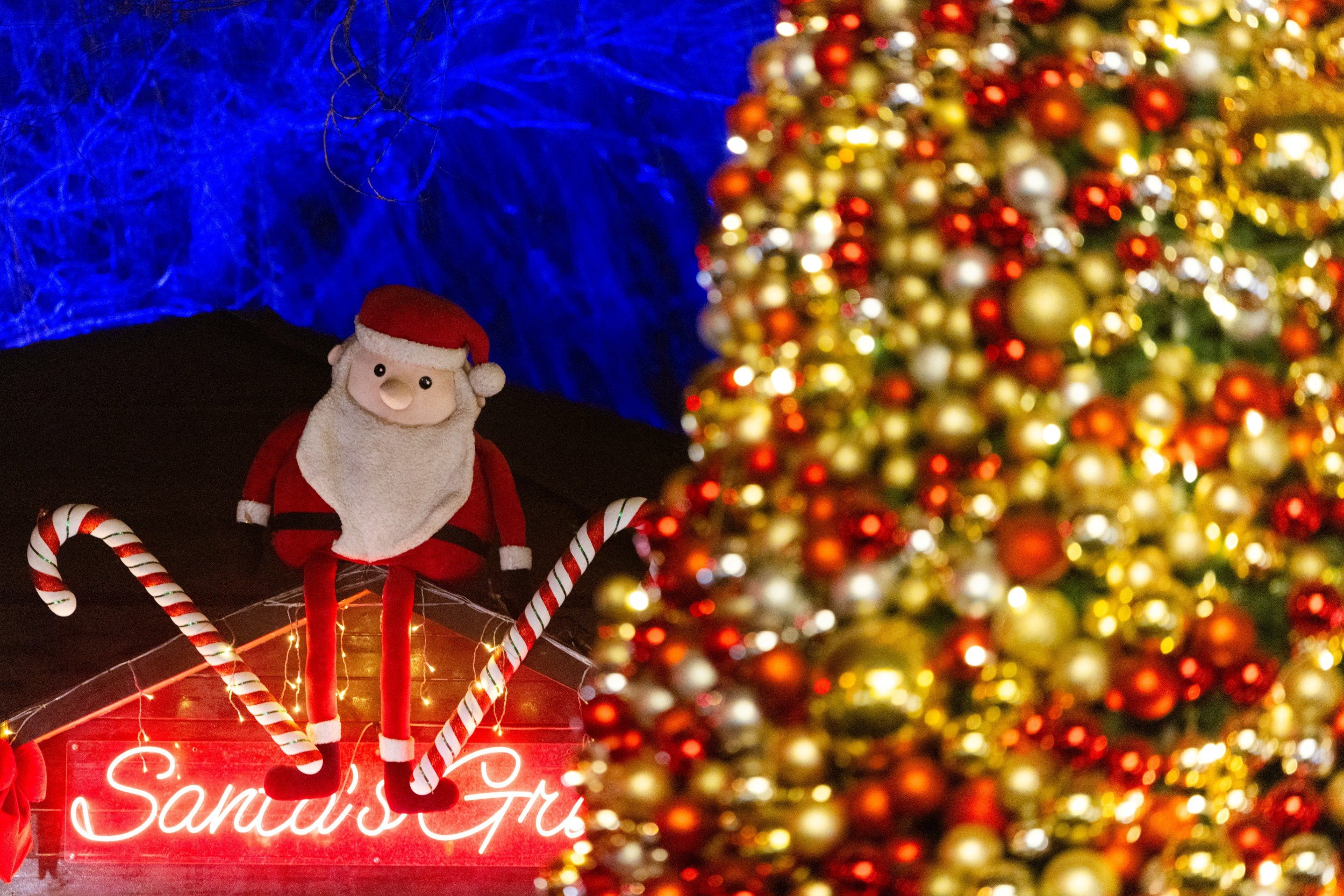 Horário especial de Natal altera funcionamento do comércio em Cuiabá e Várzea Grande; confira