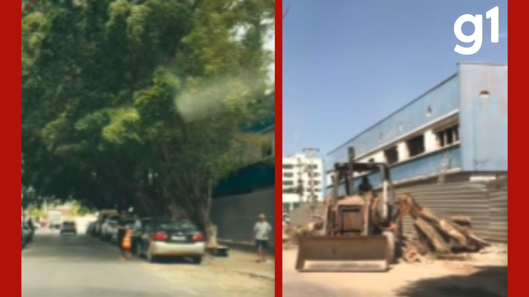 MP pede suspensão de cortes de árvores e cobra R$ 500 mil da Prefeitura de Cuiabá
