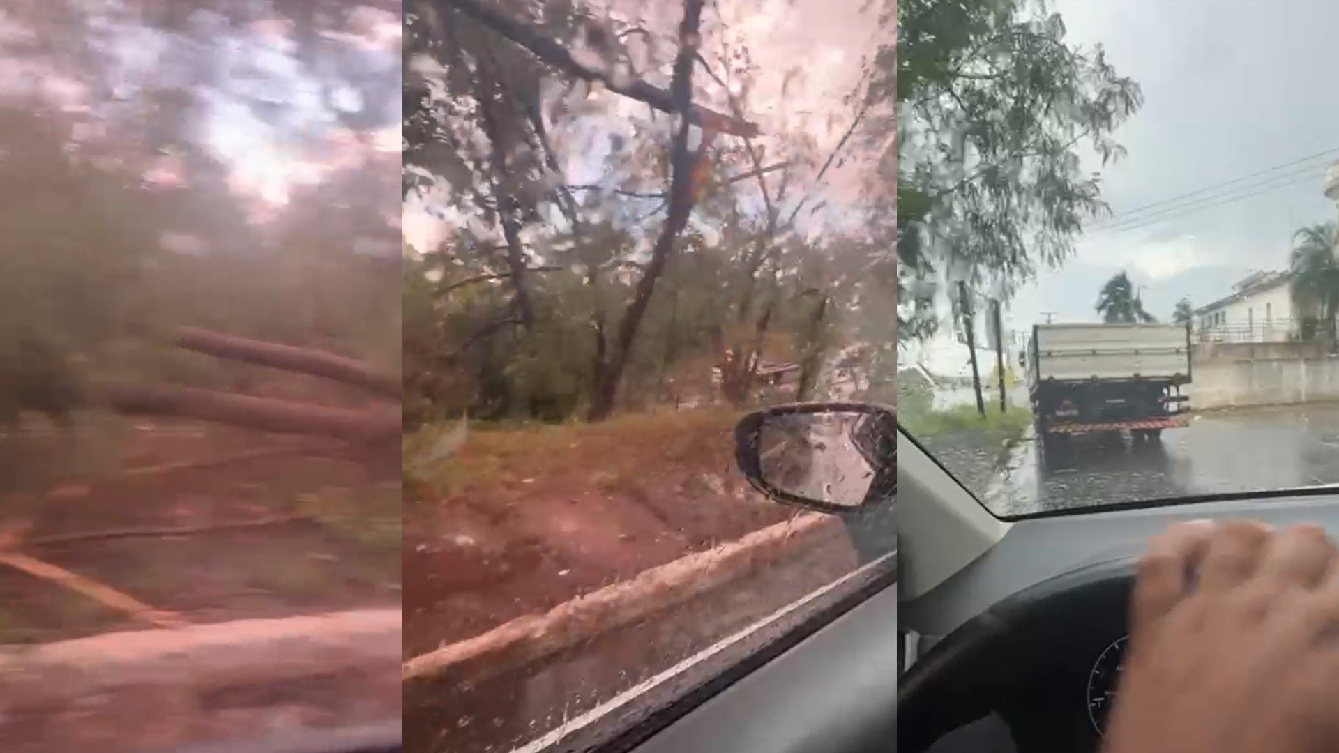 VÍDEO: árvore cai entre carros durante tempestade e trava estrada em MT
