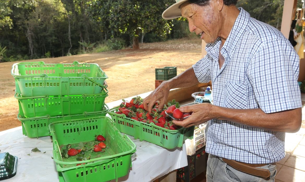 Finep vai pagar R$ 220 milhões para inovações em agricultura familiar 