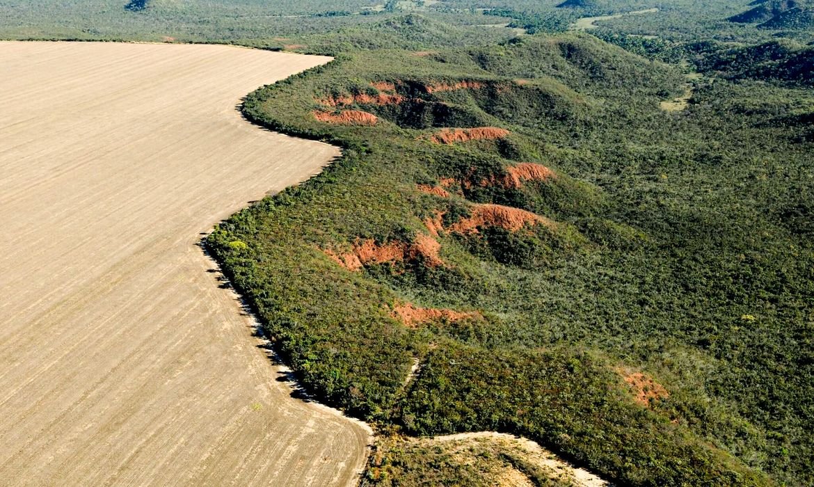 ONU reconhece iniciativa de restauração do Cerrado como referência