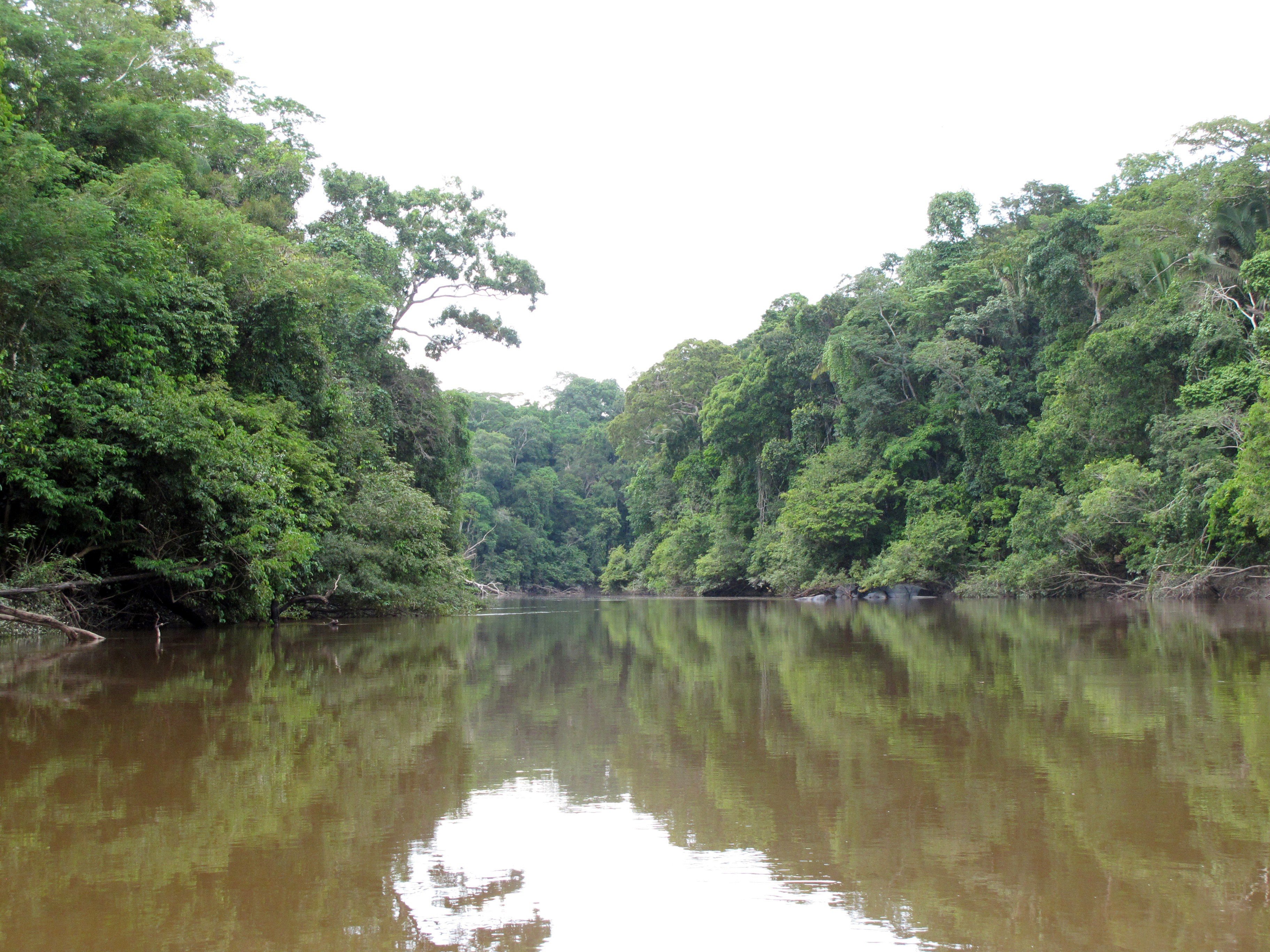 Mulher de 49 anos desaparece após tentar atravessar rio a nado em MT