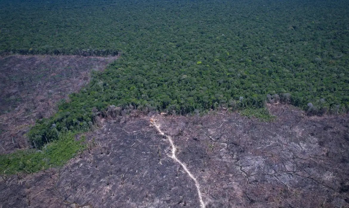 Amazônia Legal: desmatamento prevalece em torno de áreas protegidas