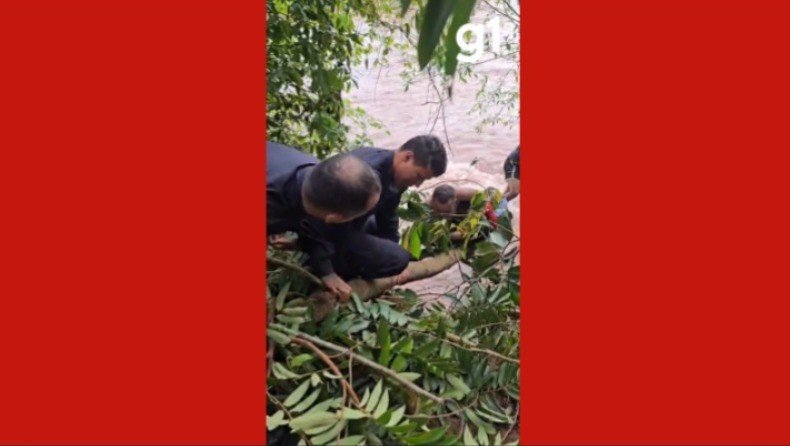 VÍDEO: criança levada por correnteza é resgatada por policiais ao ser encontrada agarrada a galho em rio de MT