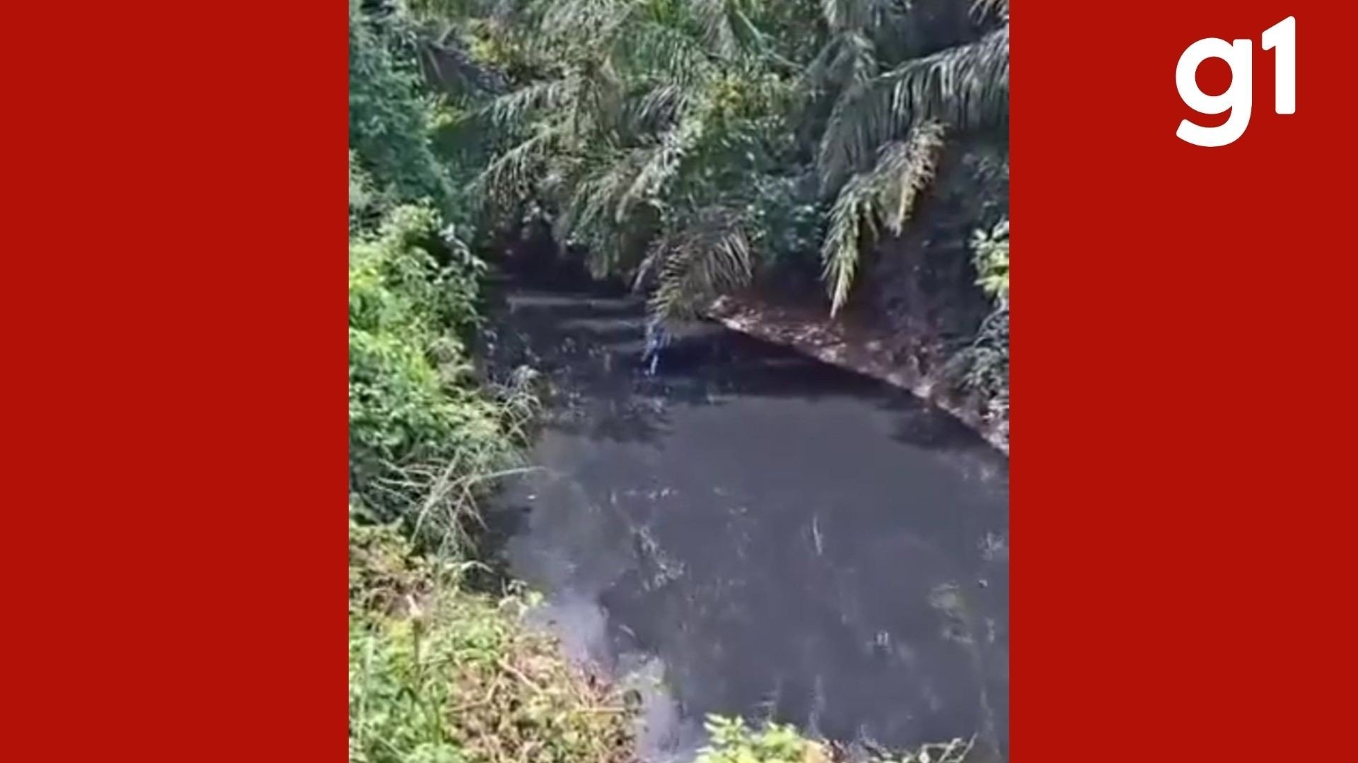 Situação de emergência é homologada em Mirassol d'Oeste (MT) após desastre ambiental em córrego