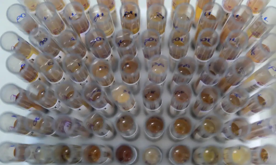 Uso de medicamento oferecido no SUS reduz casos de malária no Brasil