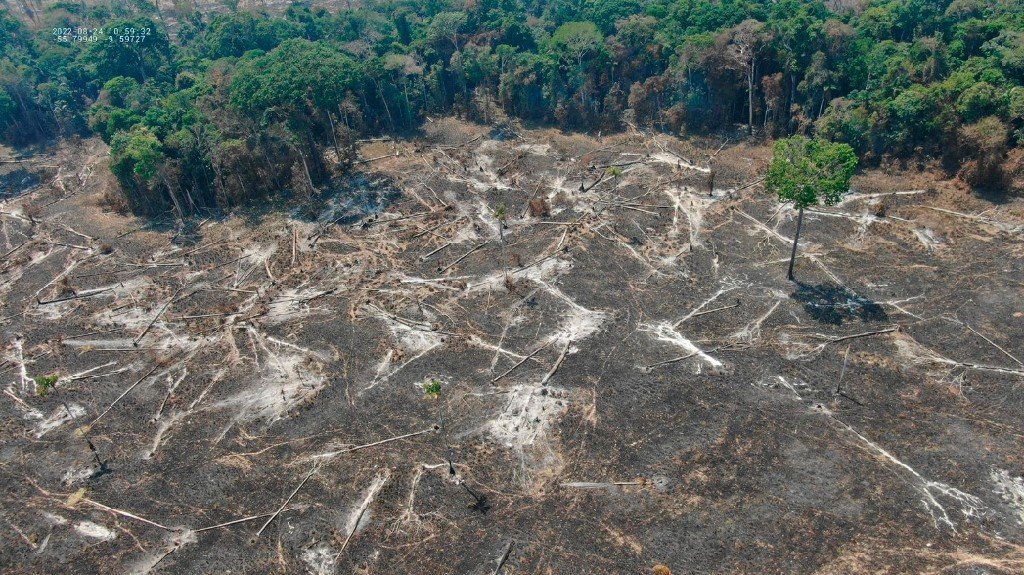 Extração ilegal de minério na Amazônia lidera multas ambientais em MT