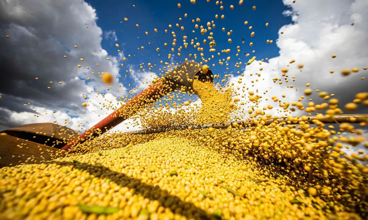 Conab estima safra de grãos de 360,8 milhões de toneladas em 2025/26