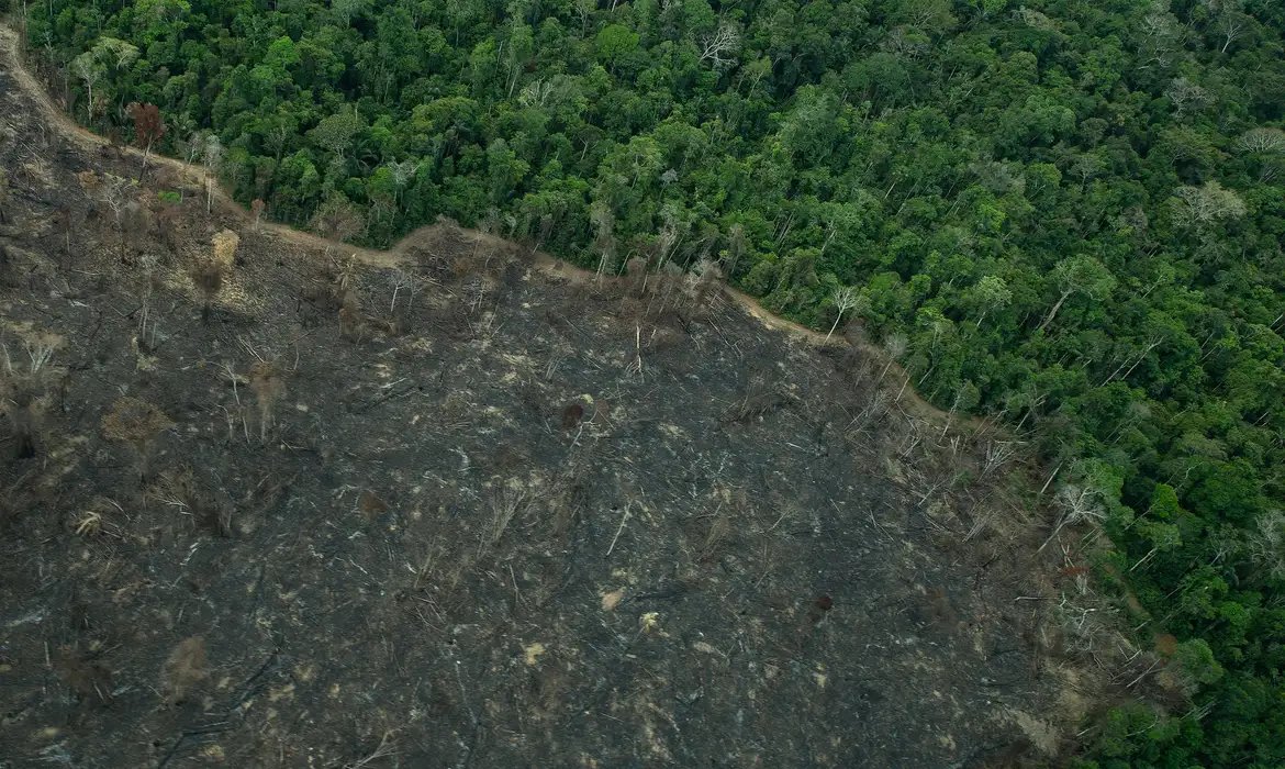 Operação aplica R$ 28 milhões em multas ambientais no Amazonas