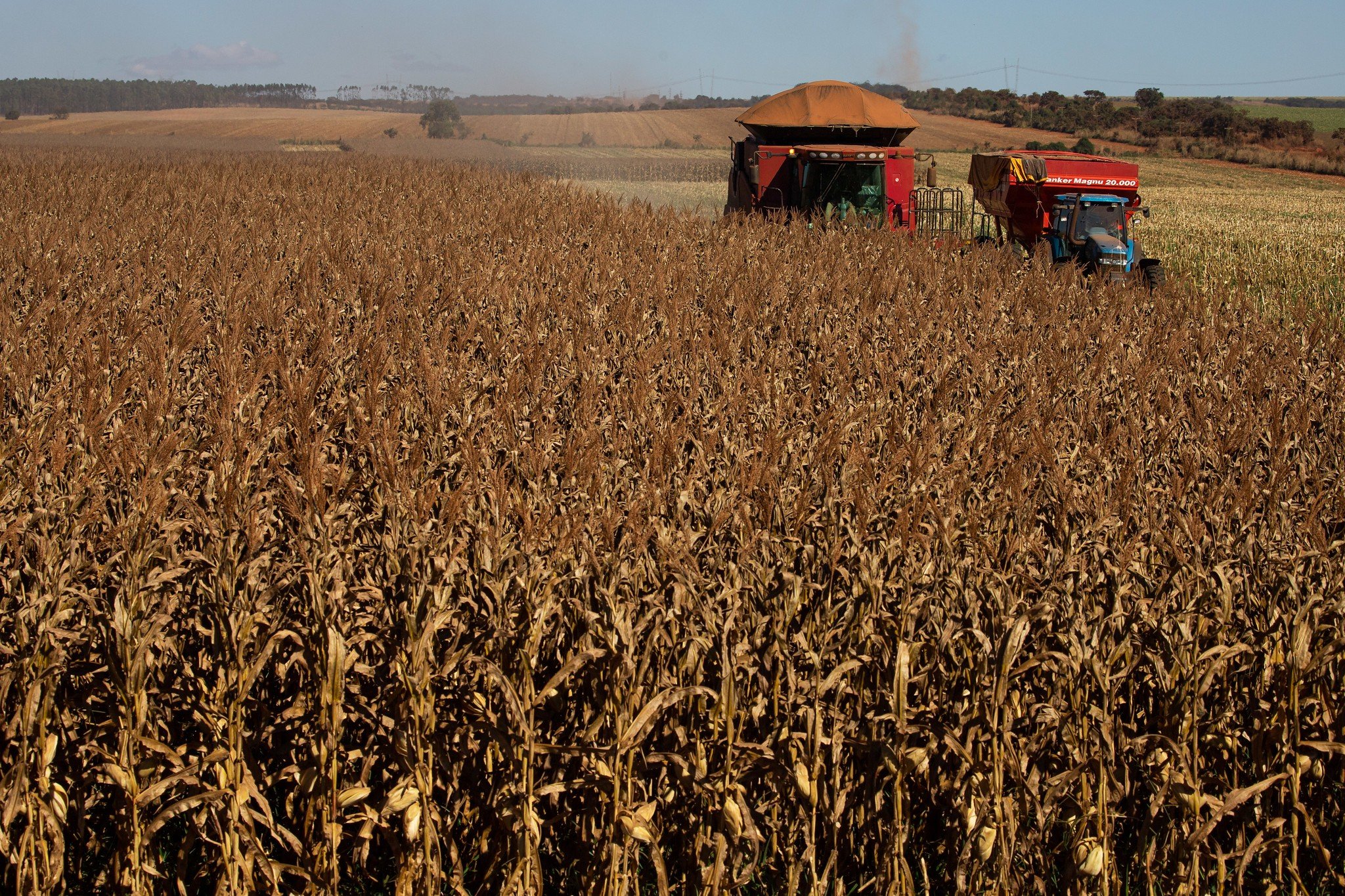 Mato Grosso tem maior procura de recuperação judicial no agro no 3º trimestre deste ano