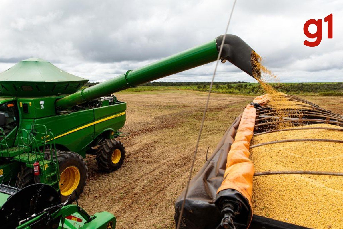 Brasil x Japão: país asiático comprou mais de 535 mil toneladas de soja de Mato Grosso em 2025