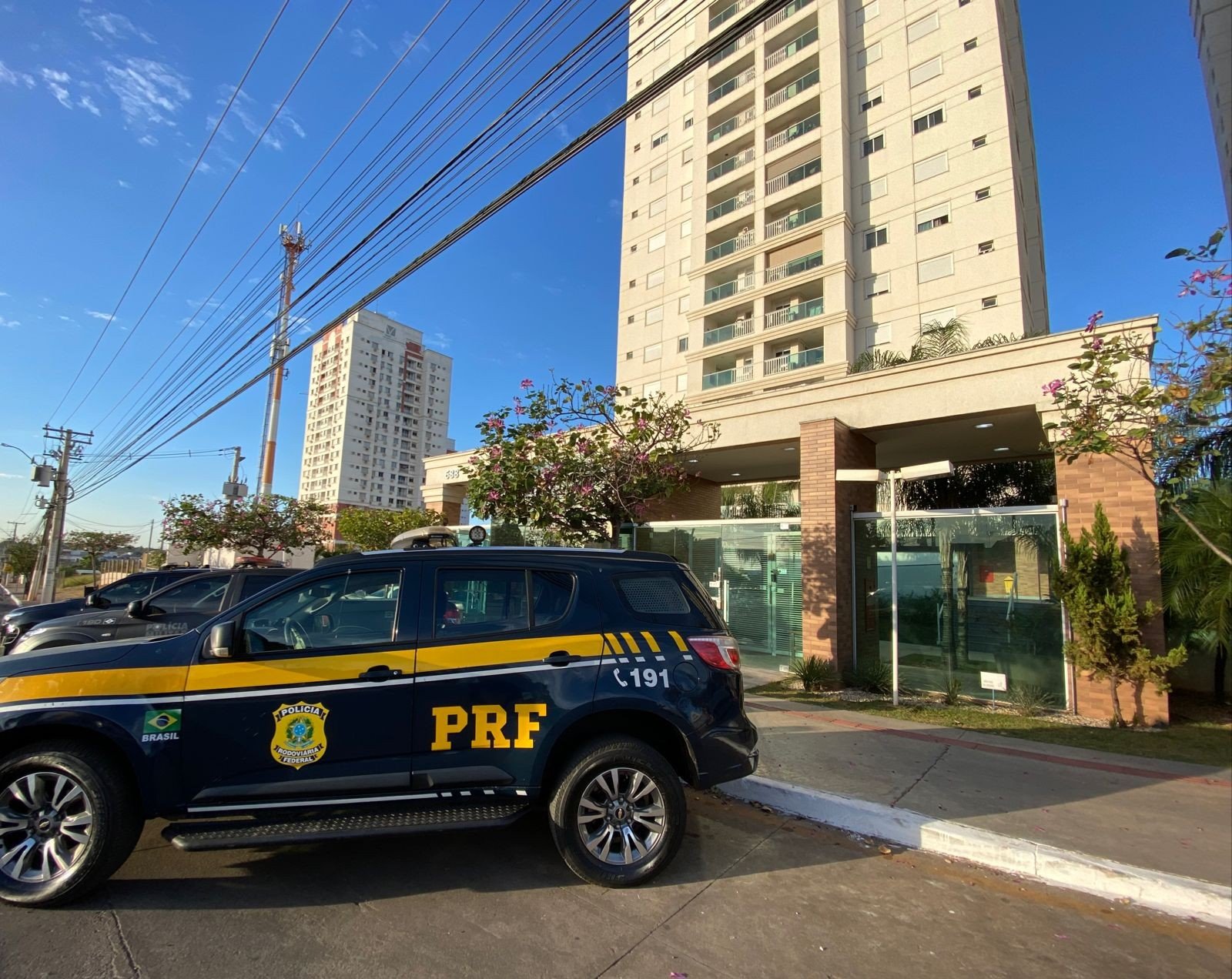 Justiça determina novas medidas para leilão de bens apreendidos durante operação em MT