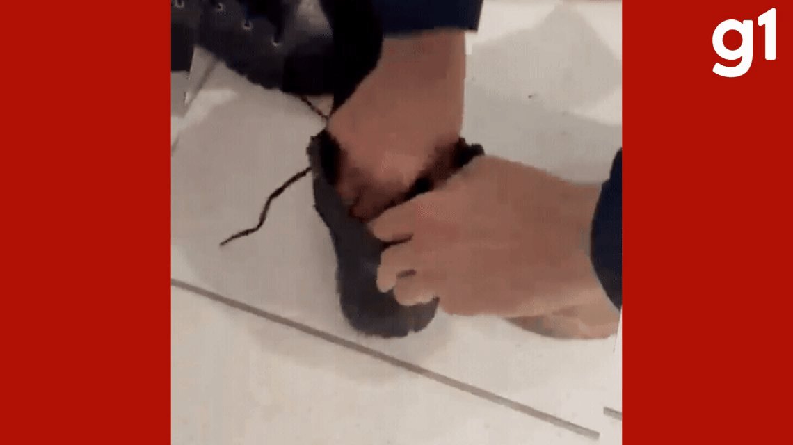 Passageiro é preso com mais de 3 kg de ouro escondidos nos sapatos e tornozelos em ônibus na BR-364