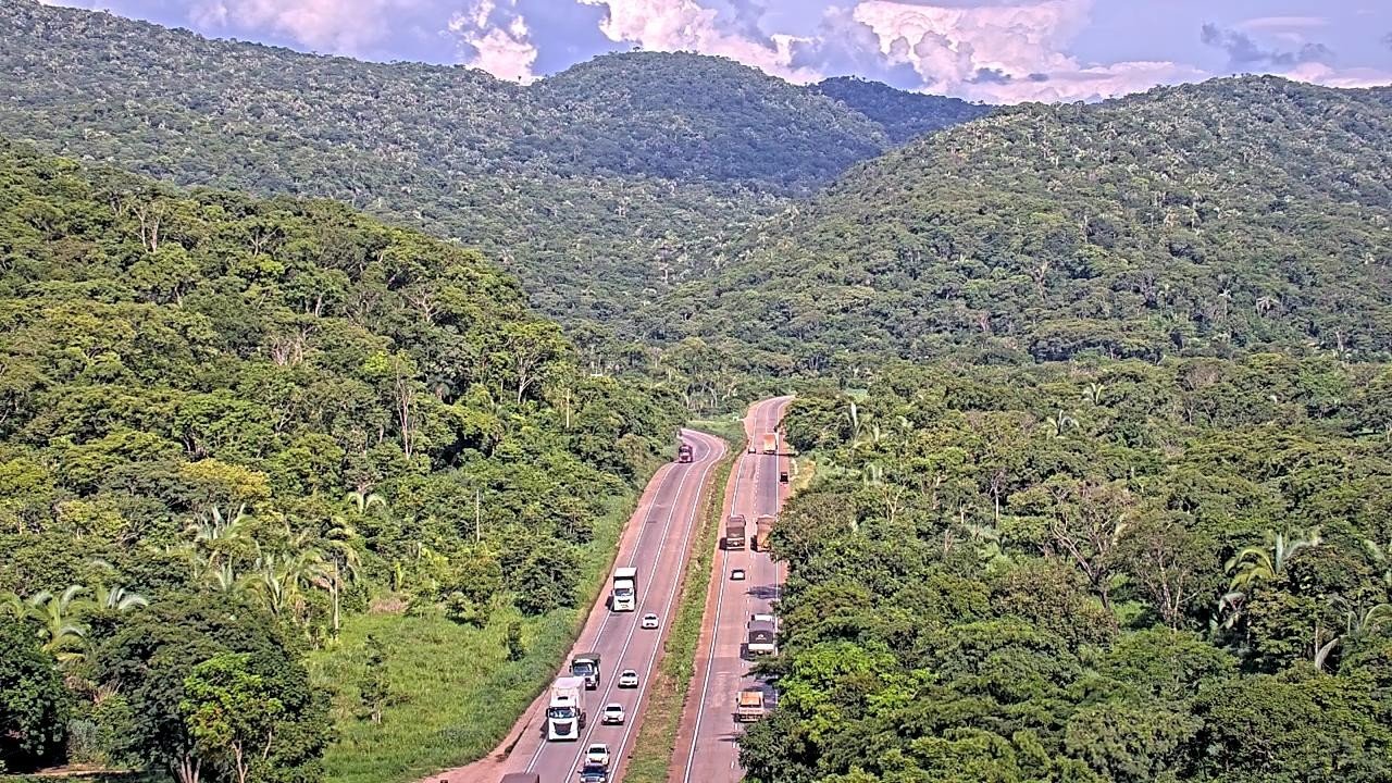 Serra de São Vicente terá bloqueios na BR-364 para poda de árvores e revitalização da sinalização em MT