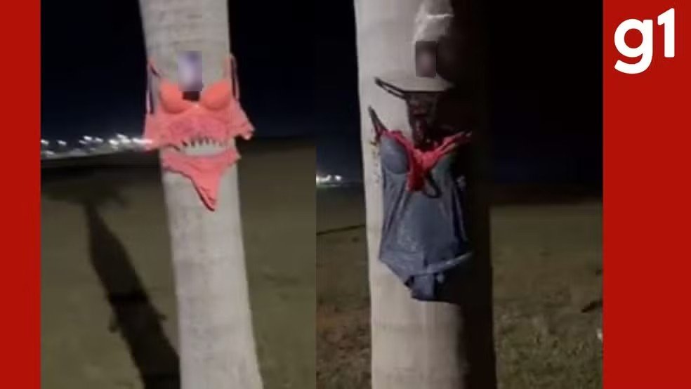 Lingeries e fotos íntimas de mulher são encontradas expostas em via pública em MT