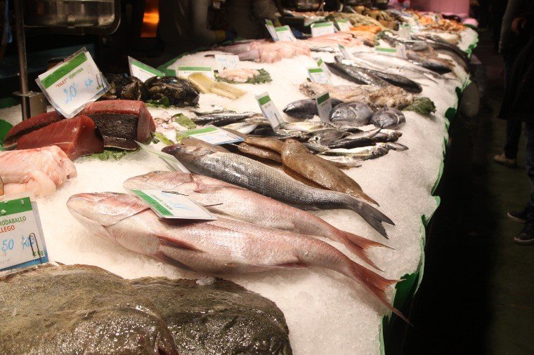 Decreto libera comércio de peixe na Feira do Praeirinho após interdições em Cuiabá