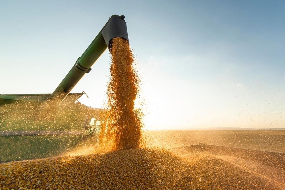 Desafios internacionais e logísticos: como economia de Mato Grosso mantém crescimento em 2026
