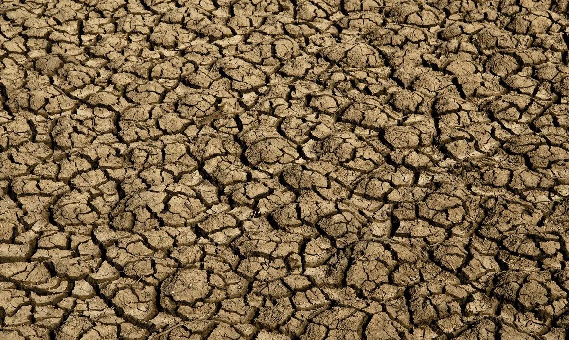 Risco de desertificação no Brasil ameaça segurança hídrica e alimentar
