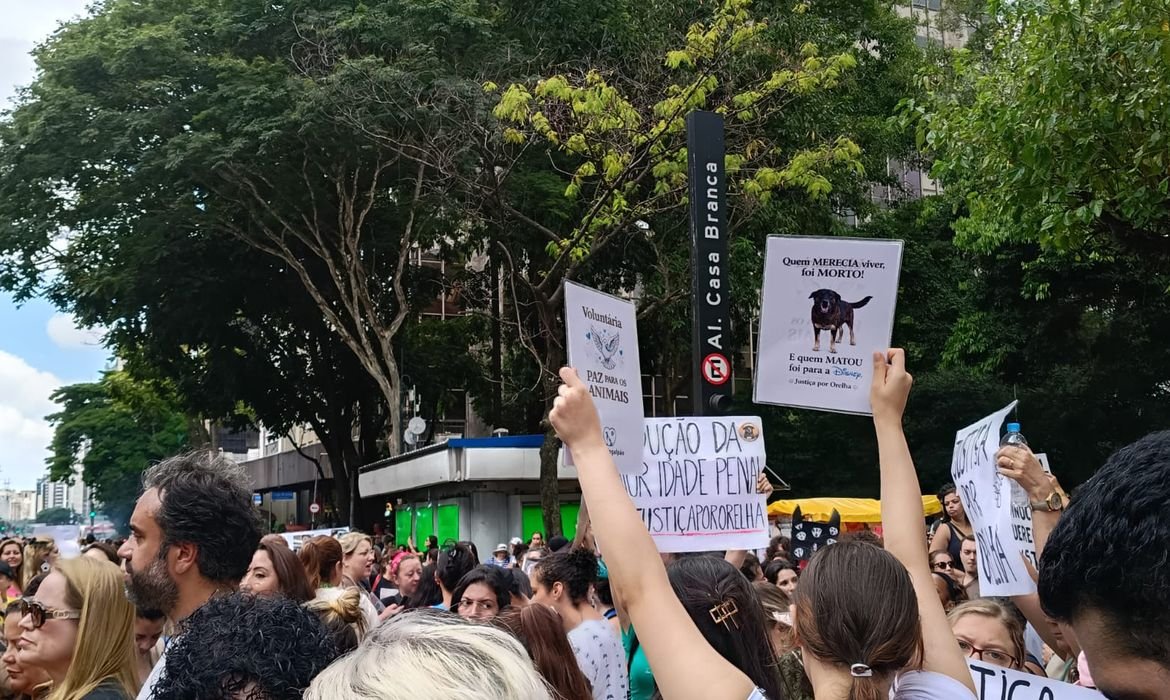 Cão Orelha: Justiça arquiva caso a pedido do Ministério Público