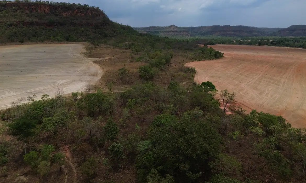 Amazônia e Pantanal batem recorde de calor em 2024