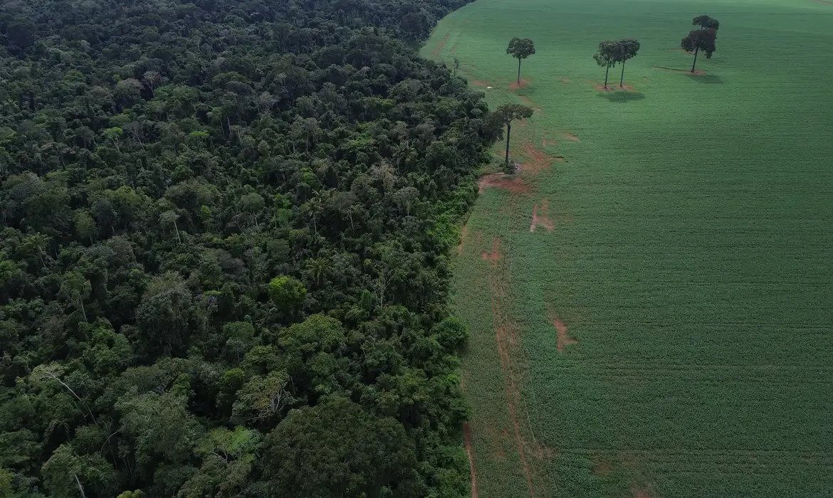 ONU realiza Fórum sobre Florestas em Nova Iorque