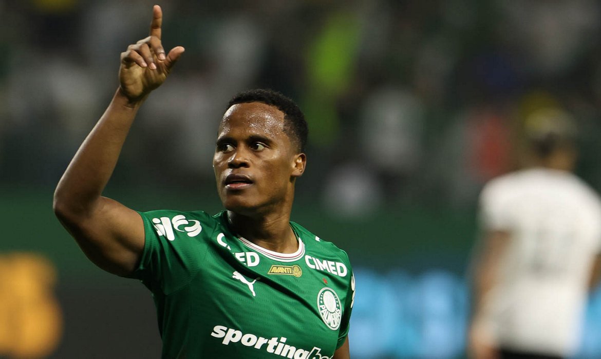 Palmeiras derrota Botafogo e assume liderança do Campeonato Brasileiro