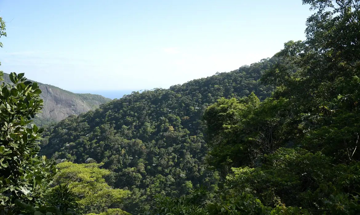 Plano mobiliza R$ 500 bi para financiamento sustentável no Brasil